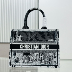 Dior Shopping Bags